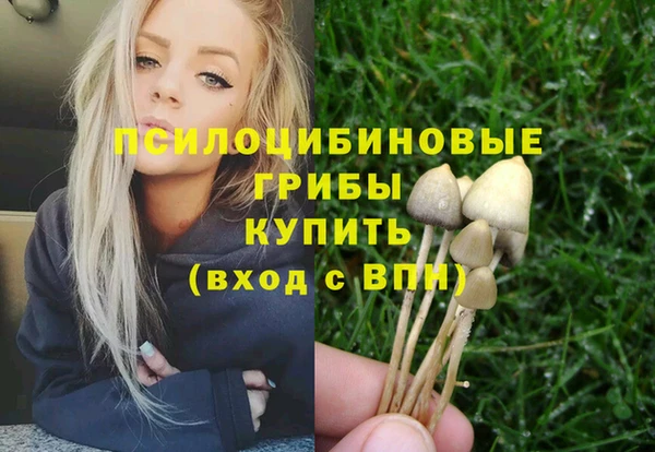 первитин Алексеевка