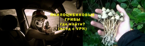 MESCALINE Алзамай